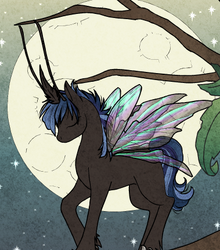 Eclipse- Breezy form