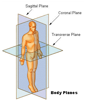 Body-planes-01-goog