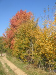 September