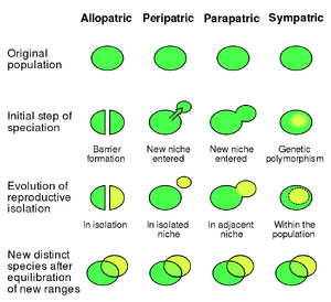 Speciation-01-goog
