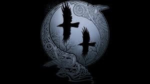 Ravens-Odin-goog