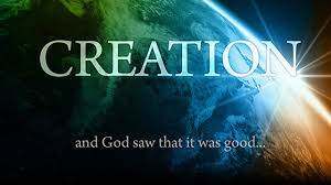 Creation-02-goog