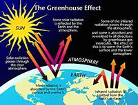 GreenhouseEffect01-goog