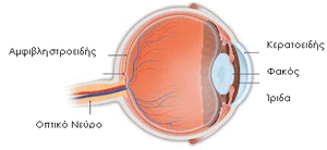 Eye-04-goog