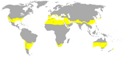 Subtropical