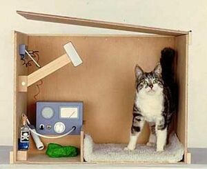 Schrodinger-Cat-04-goog