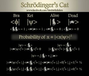Schrodinger-Cat-08-goog