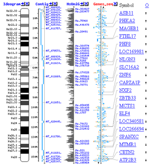 Genome viewer screenshot small