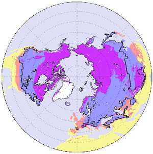 Frozenground
