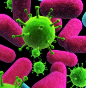 Virus-goog