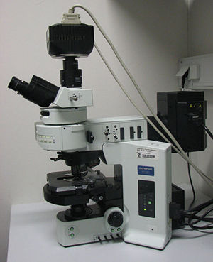 Fluorescence microscop