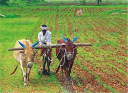 Agriculture-04-goog