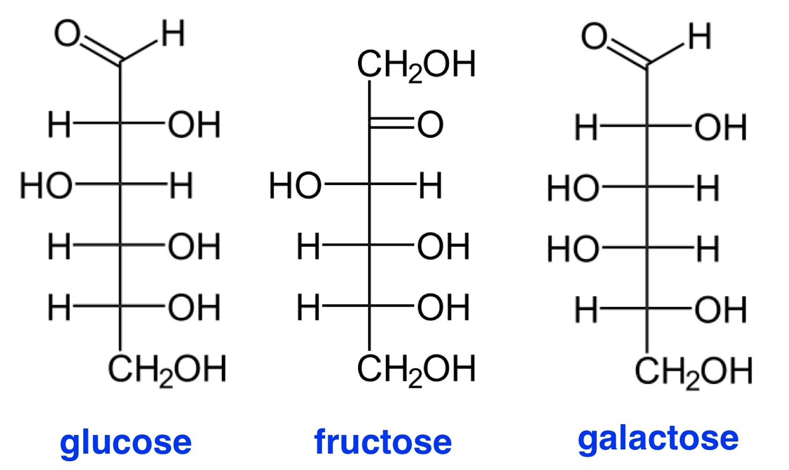 Глюкоза и фруктоза с водородом. Глюкоза фруктоза галактоза формулы. Сорбитол формула структурная. Сорбит структурная формула. Строение галактозы формула.
