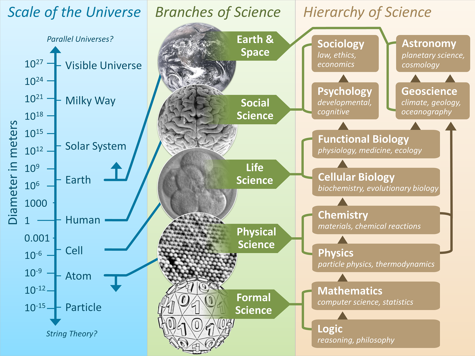 the definition of the phenomenon of power in human society the definition of the phenomenon of power in human society