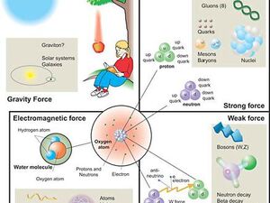 Field-Unification-01-goog