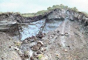 Permafrost - ice wedge