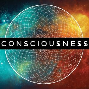 Consciousness-01-goog