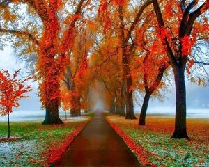 Autumn-02-goog