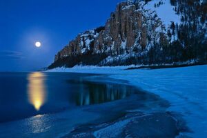 Nature-11-goog
