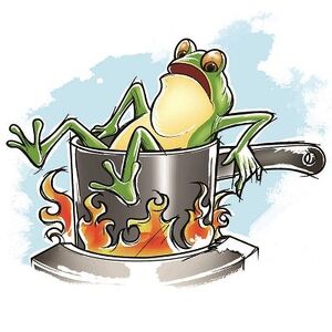 Paradoxes-Boiling-frog-01-goog