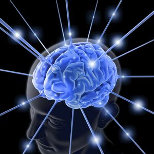 Brain-01-goog