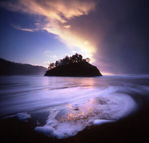 Nature-09-goog