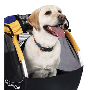 Dog-goog