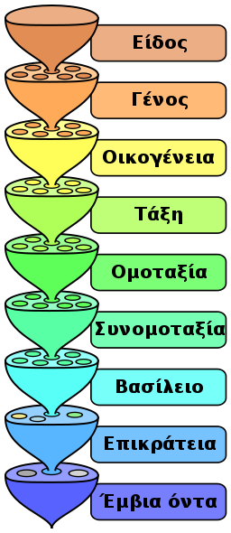 Biological-Classification-wik