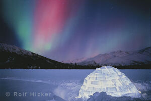 Aurora-04-goog