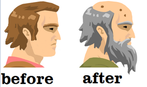 Ageing-10-goog
