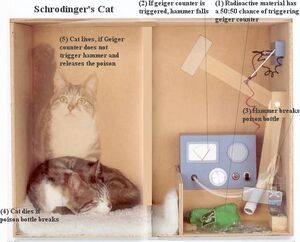 Schrodinger-Cat-06-goog