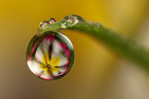 Refraction1