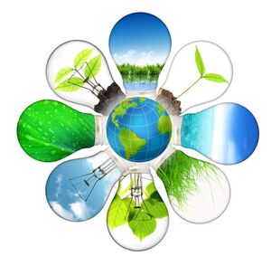 Sustainability-01-goog