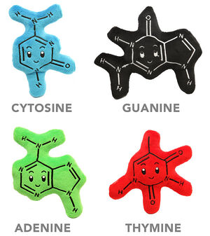 Nucleobases-01-goog