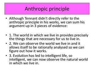 Anthropic-Principle-01-goog