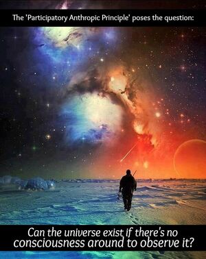 Anthropic-Principle-10-goog