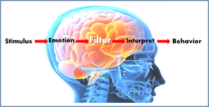 Behavior-Emotion-01-goog