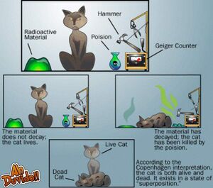 Schrodinger-Cat-02-goog