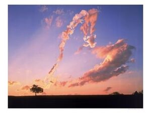 Sky-01-goog