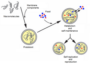 Self-replication-01-goog