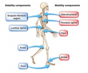 Stability-Mobility-01-goog