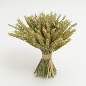 Sheaf-01-goog