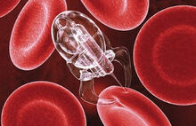 Nano robots-body2-180813