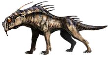 Varren