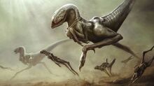 Desertjumper