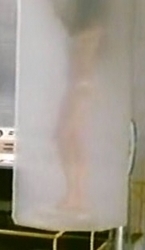Kiss Soong Last Scene (1)
