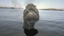 Giant Electric Eel (Shock Attack)
