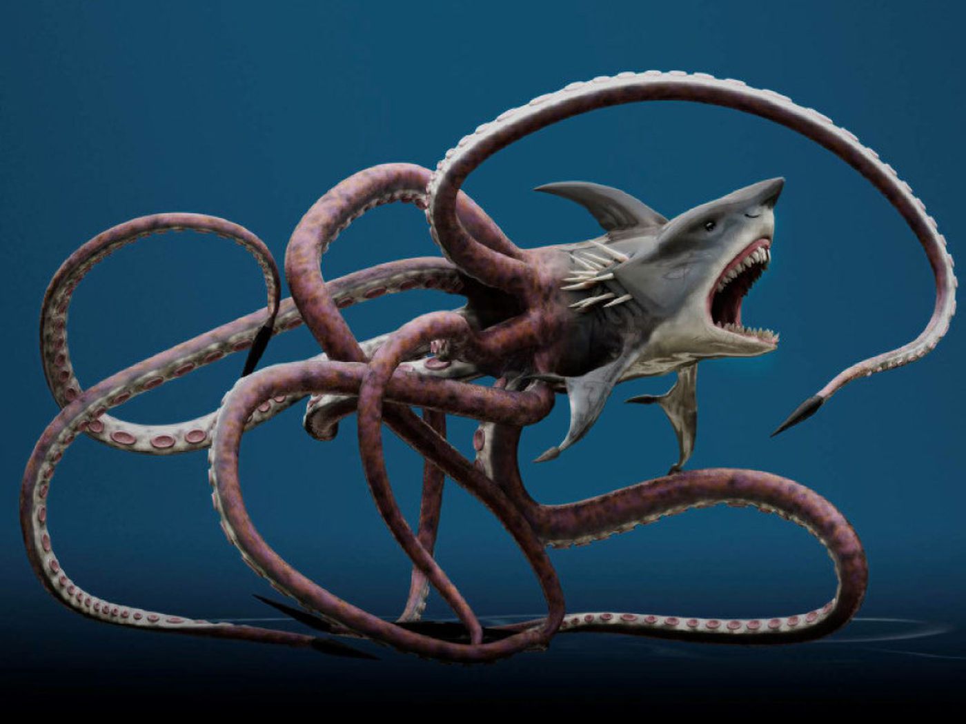 Best How To Draw A Sharktopus of all time The ultimate guide 