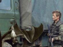 Mutant Bat