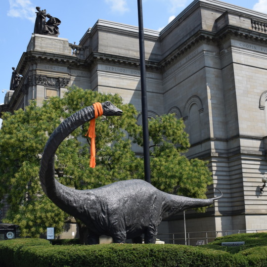 dippy and the dinosaurs